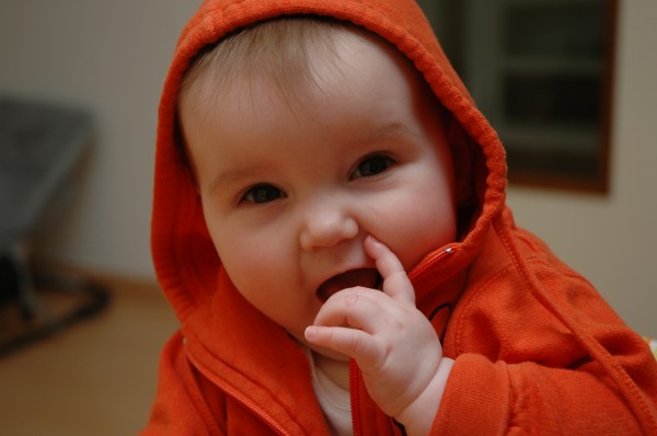 Click for the original image