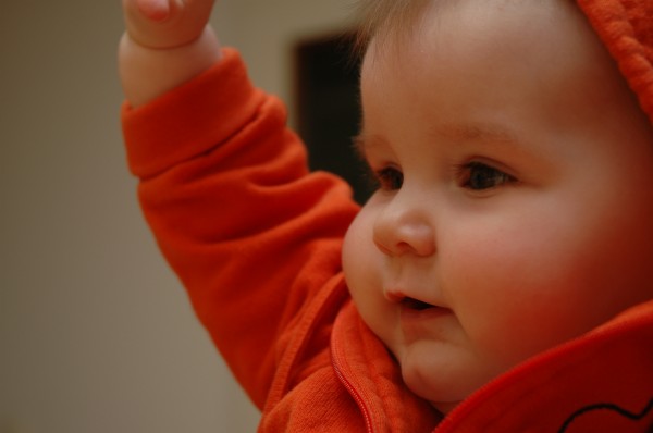 Click for the original image