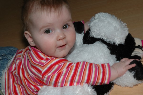 Click for the original image