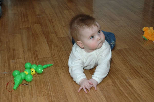 Click for the original image