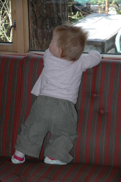 Click for the original image