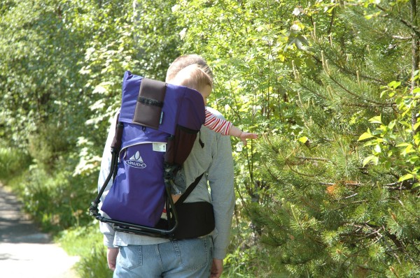 Click for the original image