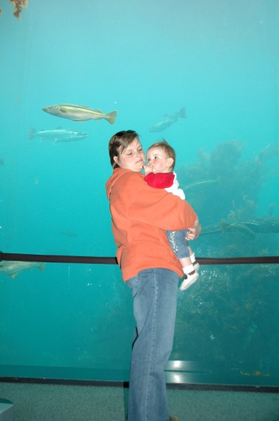 Click for the original image