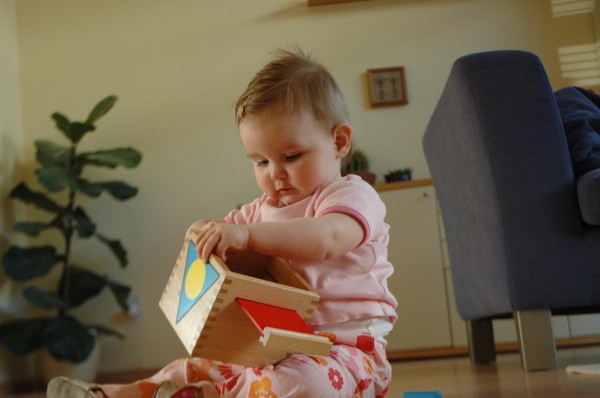 Click for the original image