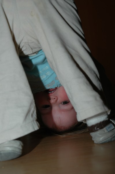 Click for the original image