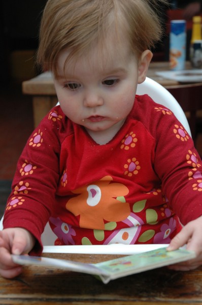 Click for the original image