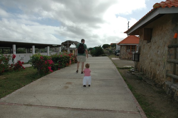 Click for the original image