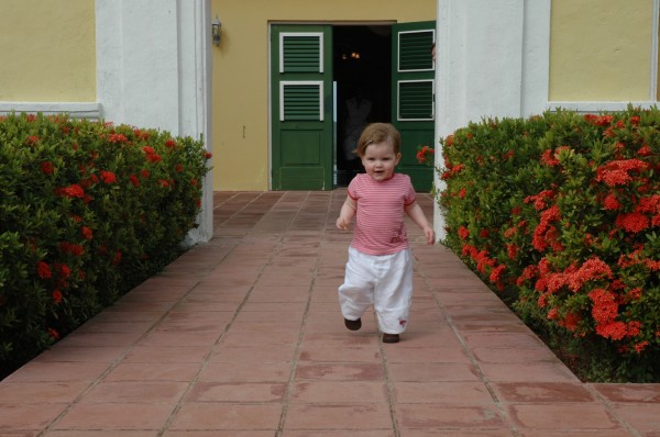 Click for the original image