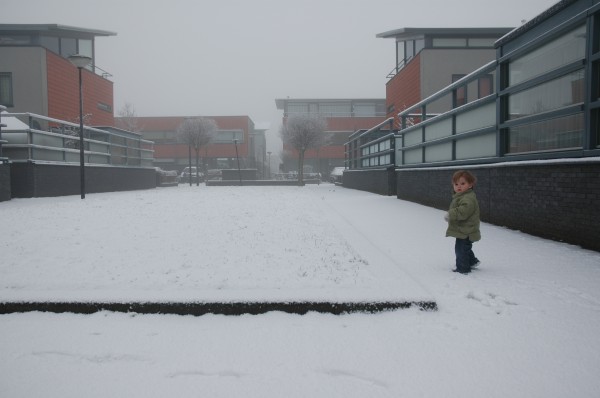 Click for the original image