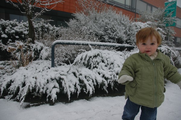 Click for the original image