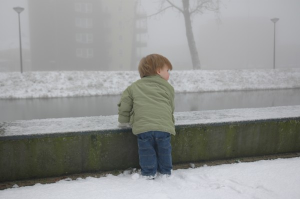 Click for the original image