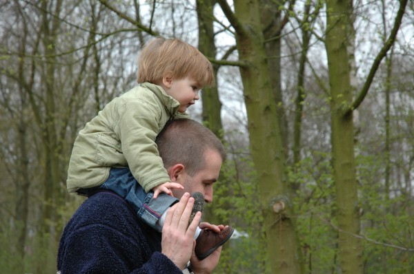 Click for the original image