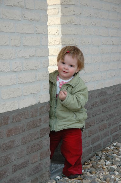 Click for the original image