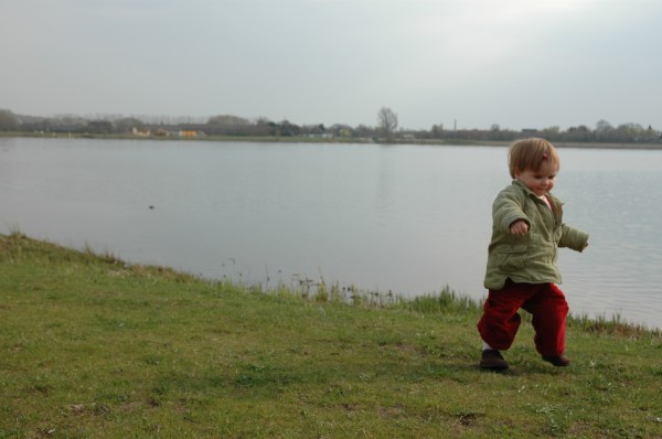 Click for the original image