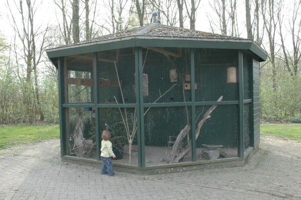 Click for the original image