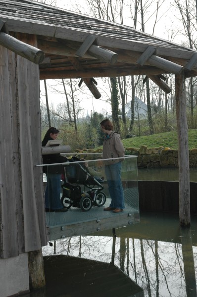 Click for the original image