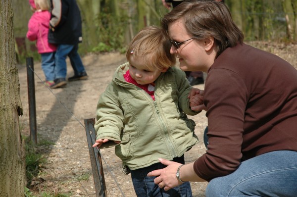 Click for the original image