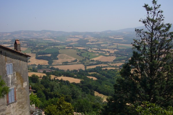 Click for the original image