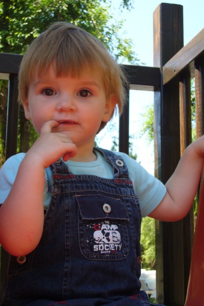 Click for the original image