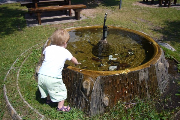 Click for the original image