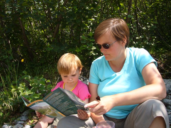 Click for the original image