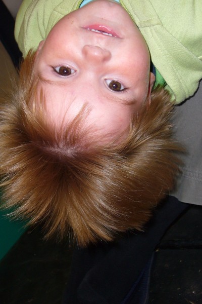 Click for the original image