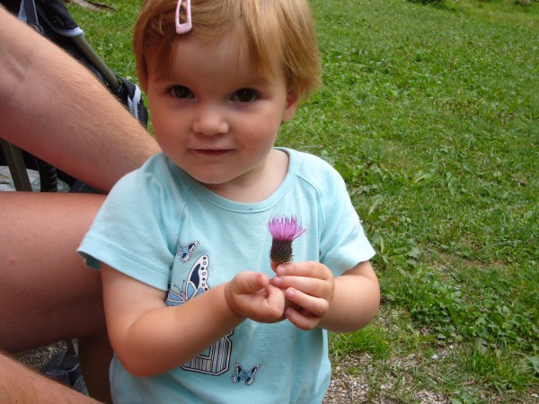 Click for the original image