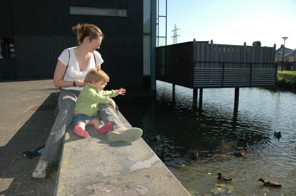 Click for the original image