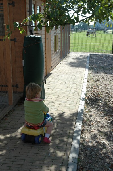 Click for the original image