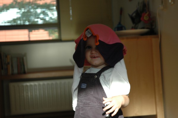 Click for the original image