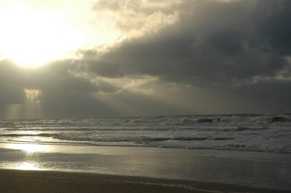 Click for the original image