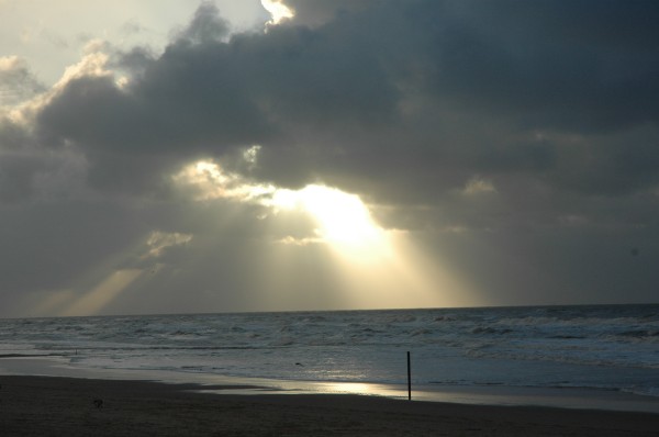 Click for the original image