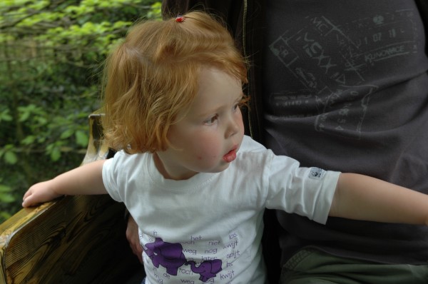 Click for the original image