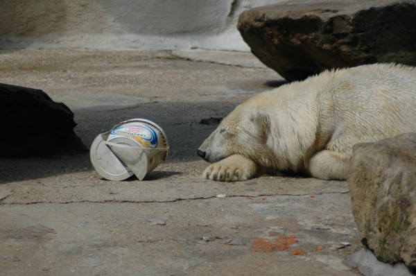 Click for the original image